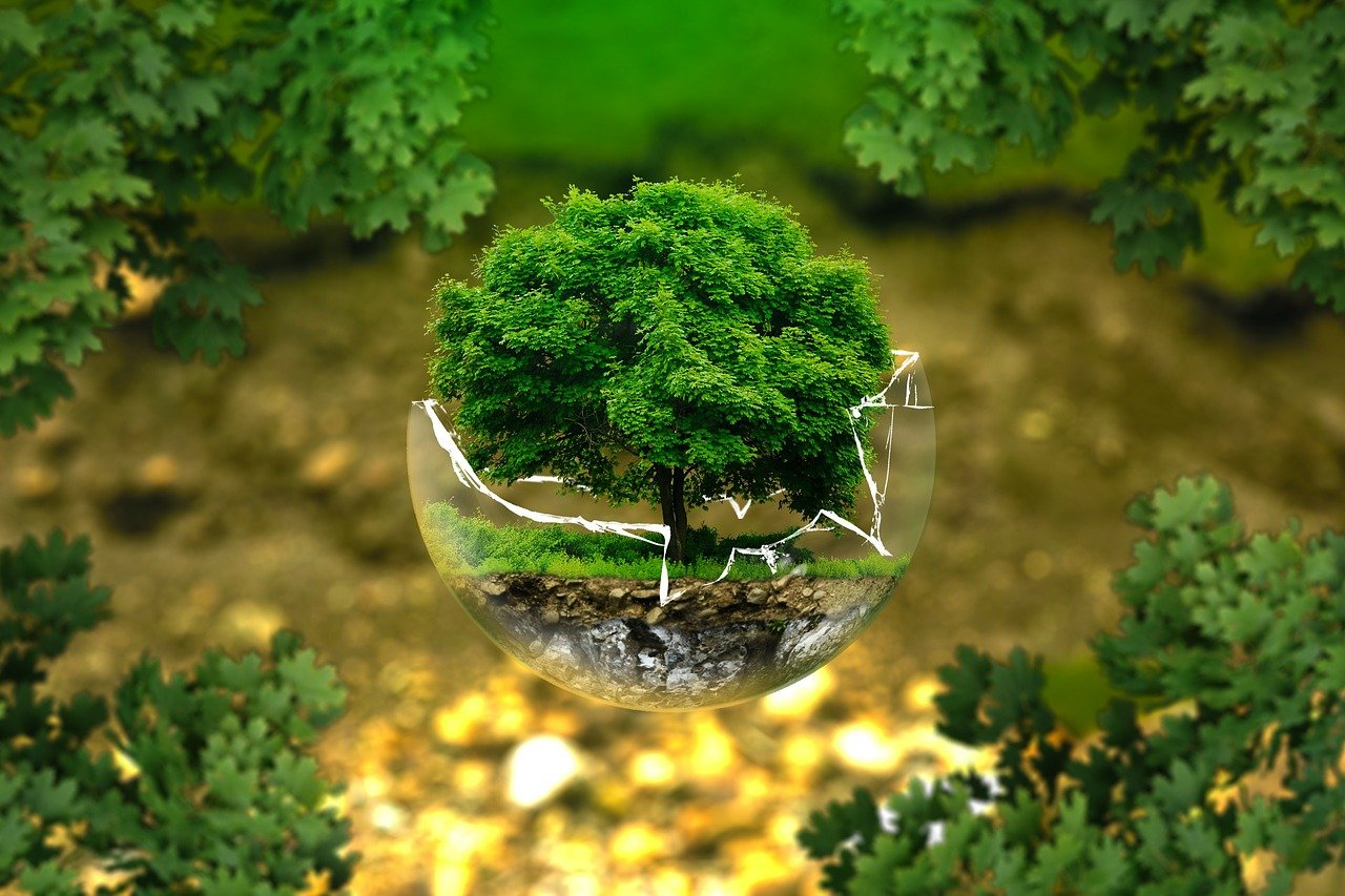 environmental-protection-g5e5c414a3_1280