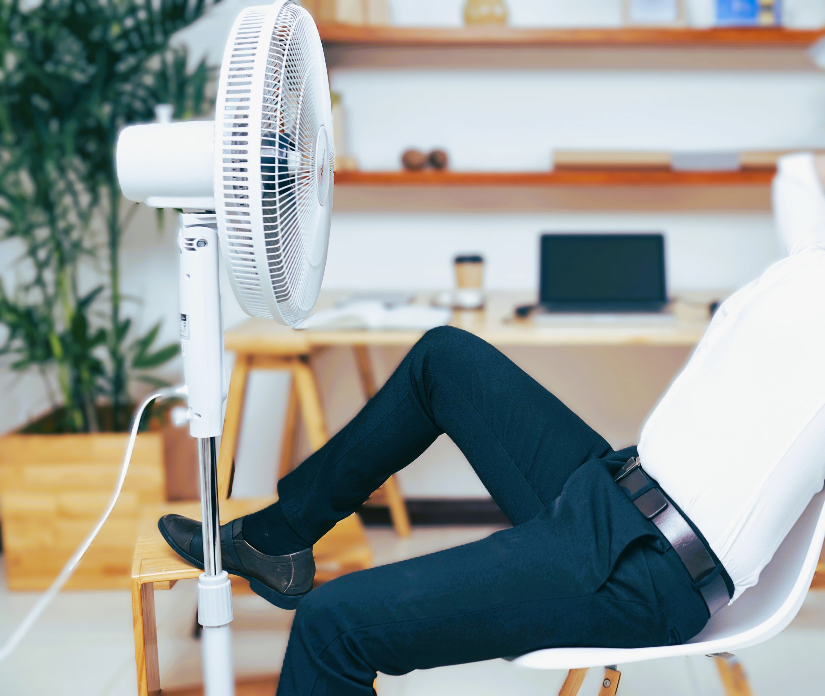 ventilateur